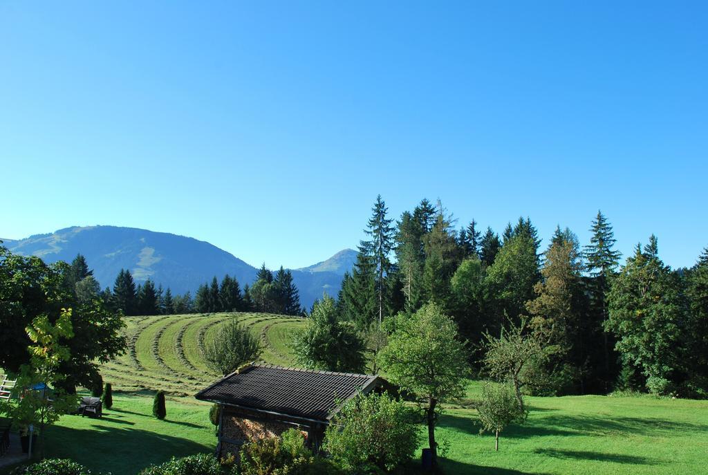 Berggasthof Baernstatt Scheffau am Wilden Kaiser Esterno foto